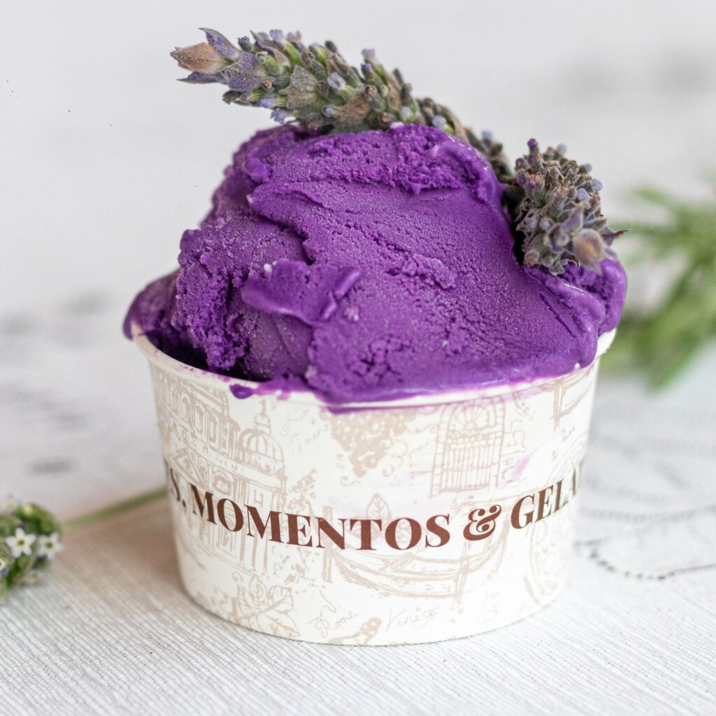 Conheça as delícias gastronômicas da Expoflora 2023